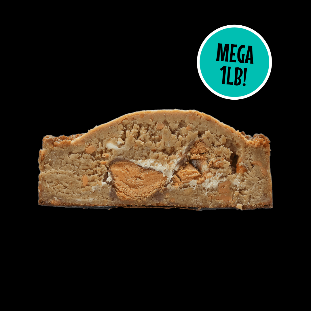 MEGA 1lb Silver Fox
