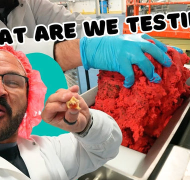 Fat and Weird Goes Wild: Crazy New BITES in the Works!