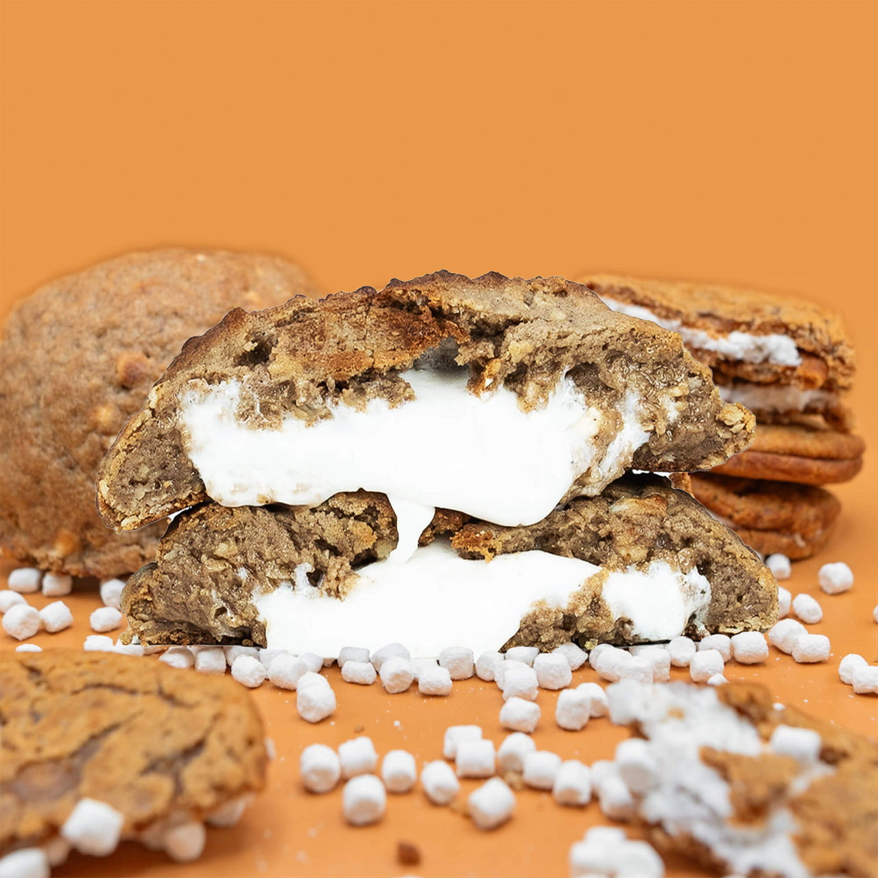 Cookie Terrestrial | Chocolate Fudge Stuffed Cookie – Fat & Weird