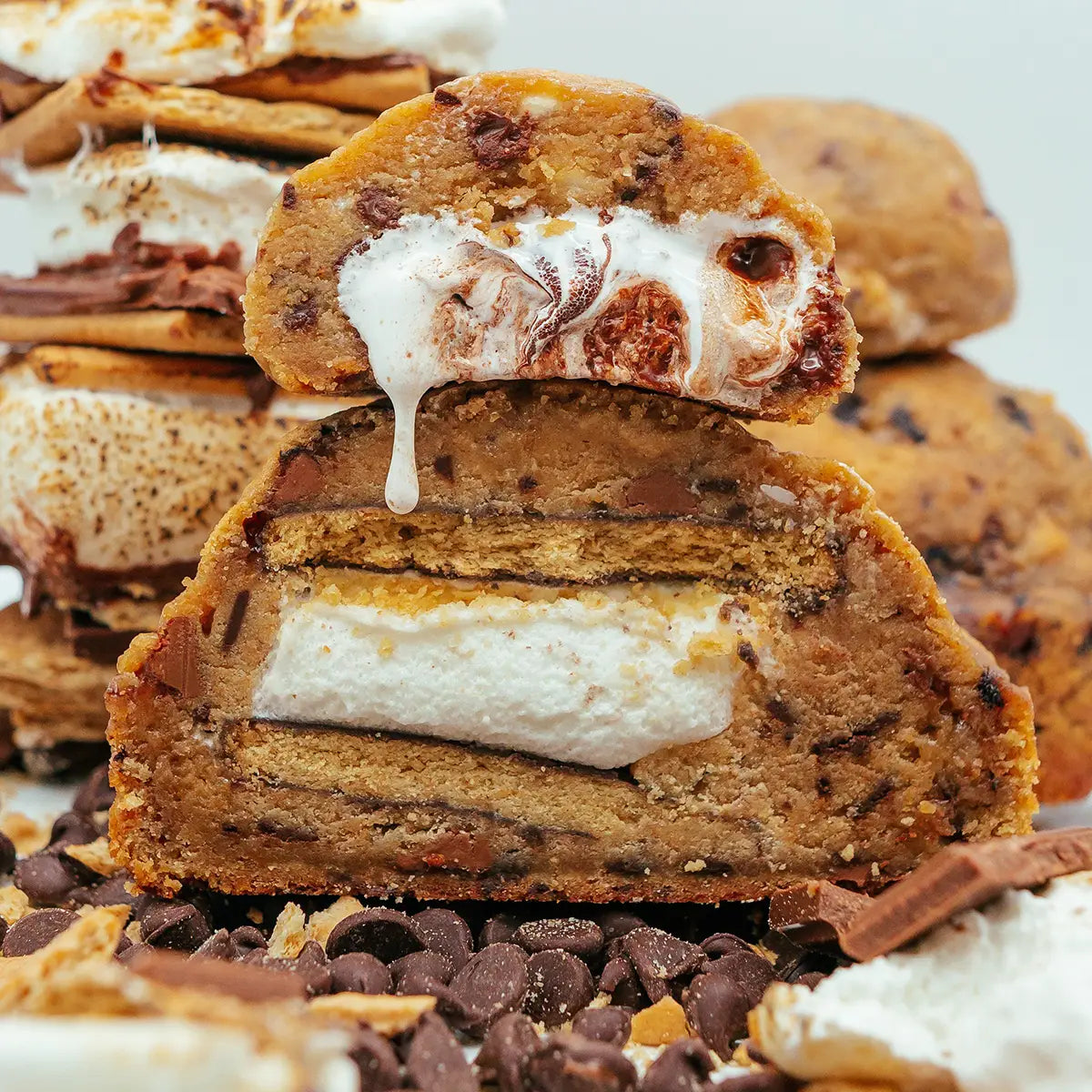 MEGA 1lb Cookies - Fat & Weird Cookie Co.